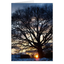 Carte de coucher du soleil de Milou