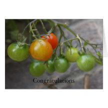 Carte de félicitations de plante de tomate