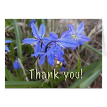 Carte de fleur de jacinthe des bois de Merci !