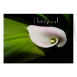 Carte de fleur de zantedeschia merci