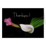 Carte de fleur de zantedeschia merci