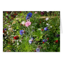 Carte de fleur sauvage