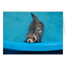 Carte de furet