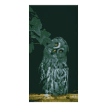 Carte de hibou de grand gris cartes de vœux avec photo