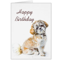 Carte de joyeux anniversaire de chien de Shih Tzu