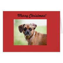 Carte de Joyeux Noël de chien