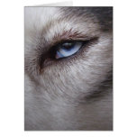 Carte de Malamute d'Alaska de carte de chien de tr