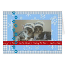 Carte de Noël avec des chats