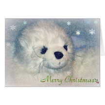 Carte de Noël de bébé phoque