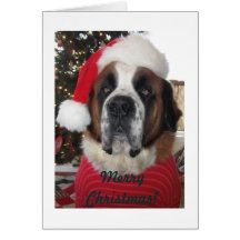Carte de Noël de chien de Père Noël St Bernard
