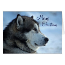 Carte de Noël de loup - Joyeux Noël