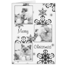 carte de Noël de minou