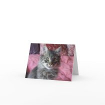 Carte de note avec la photo de chaton