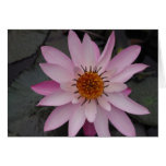 Carte de note de fleur de Lotus