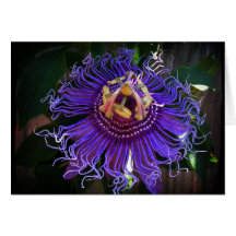 Carte de note de fleur de passion