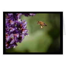 Carte de note de fleur de pollen d'abeille