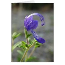 Carte de note de fleur sauvage