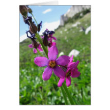 Carte de note de fleur sauvage de montagne pourpre