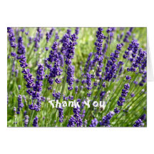 Carte de note de Merci de fleur de lavande