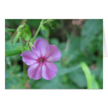 Carte de note minuscule de fleur