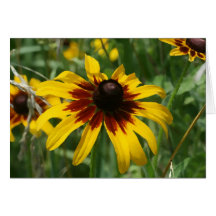 carte de note Noir-eyed de Susan