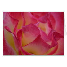 Carte de note rose magique