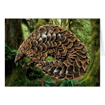Carte de Pangolin