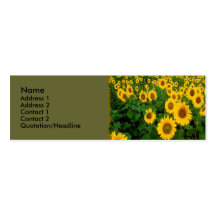 Carte de profil personnel de tournesols modèles de cartes de visite