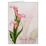 Carte de remerciements rose de zantedeschia