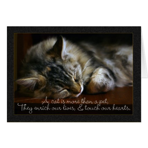 Carte de sympathie de chat d'animal familier, pert