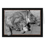 Carte de sympathie de chien