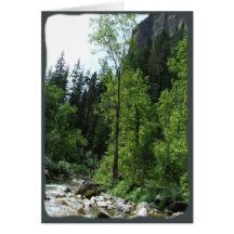 Carte de sympathie paisible de forêt
