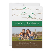Carte de vacances de Joyeux Noël d'oiseaux de neig