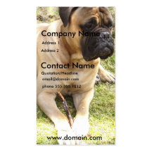 Carte de visite anglais de chien de mastiff
