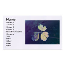 Carte de visite chanceux de charme
