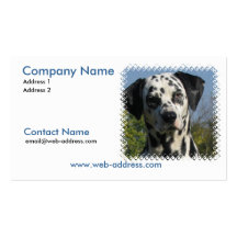 Carte de visite dalmatien