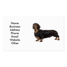 Carte de visite de chien de teckel
