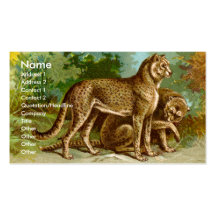 Carte de visite de guépard