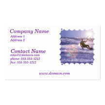Carte de visite de Kitesurfer