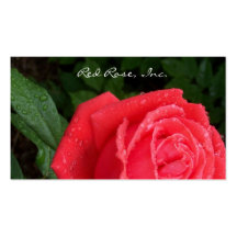 Carte de visite de rose rouge