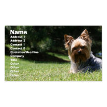 Carte de visite de soin des animaux familiers