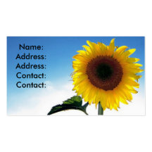 carte de visite de tournesol