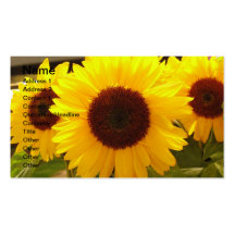Carte de visite de tournesols