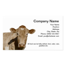Carte de visite de vache laitière