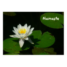 CARTE DE VISITE, "NAMASTE "