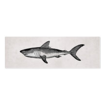 Carte de visite vintage de requin