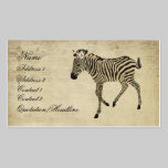 Carte de visite vintage de zèbre/étiquettes noirs  cartes de visite