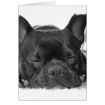 Carte de voeux de bouledogue français