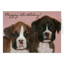 Carte de voeux de chiots de boxeur de joyeux anniv