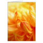 Carte de voeux de chrysanthème